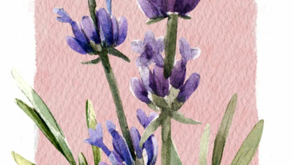 20230523 20230519 secret queer language of flowers lavender